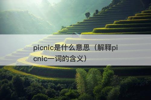 picnic是什么意思（解释picnic一词的含义）