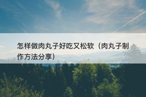 怎样做肉丸子好吃又松软（肉丸子制作方法分享）
