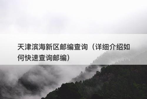 天津滨海新区邮编查询（详细介绍如何快速查询邮编）