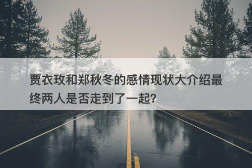 贾衣玫和郑秋冬的感情现状大介绍最终两人是否走到了一起？
