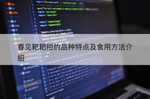 春见耙耙柑的品种特点及食用方法介绍