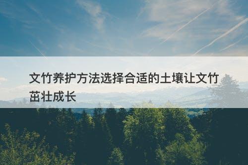 文竹养护方法选择合适的土壤让文竹茁壮成长