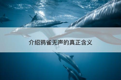 介绍鸦雀无声的真正含义