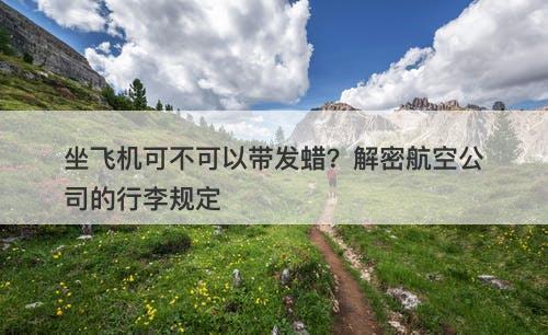 坐飞机可不可以带发蜡？解密航空公司的行李规定