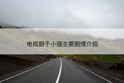 电视剧于小强主要剧情介绍