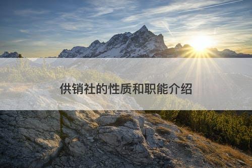 供销社的性质和职能介绍