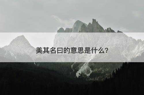 美其名曰的意思是什么？-图1