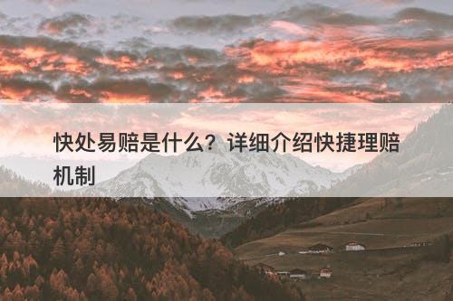 快处易赔是什么？详细介绍快捷理赔机制