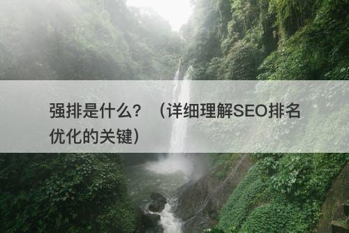 强排是什么？（详细理解SEO排名优化的关键）