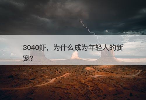3040虾，为什么成为年轻人的新宠？