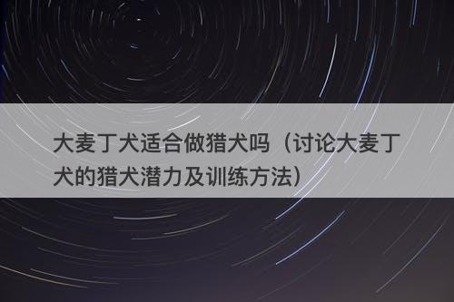 大麦丁犬适合做猎犬吗（讨论大麦丁犬的猎犬潜力及训练方法）