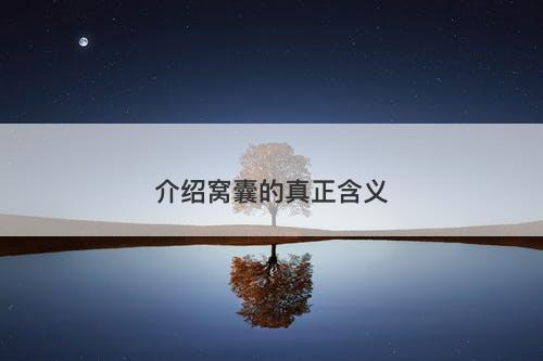 介绍窝囊的真正含义
