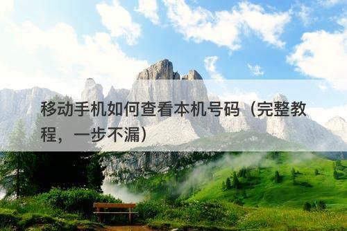 移动手机如何查看本机号码（完整教程，一步不漏）