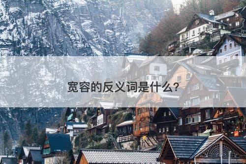 宽容的反义词是什么？