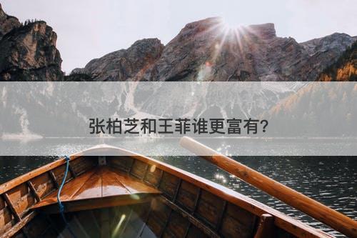 张柏芝和王菲谁更富有？